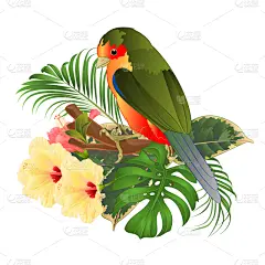 花束,热带的花,热带鸟,可爱的,野生动物,翅膀,小的,自然美,动物,复古