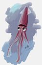 Squid 