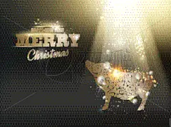 猪,2019,火花,新年前夕,贺卡,可爱的,农业,信函,模板,哺乳纲