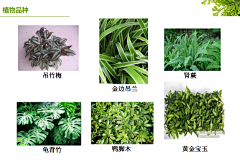 小小小宝爷采集到景观