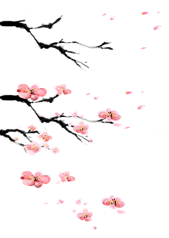 用户V0eMvbcC采集到花