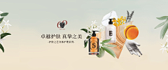 一杯芋头采集到banner