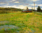 #国际艺术大观# Peter Fiore 风景油画