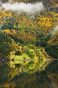  美景 挪威森林的秋天