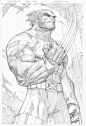 kandidkandor:  Ultimate Wolverine | Joe Madureira