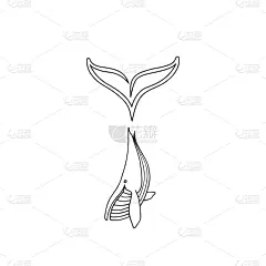 鲸,巨大的,品牌名称,动物手,尾鳍,摆拍,海豚馆,野生动物,海洋,绘制