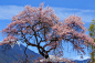 2f78-kiksqxh9721297.jpg (650 KB,1621*1080)