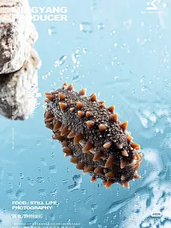 1659318852878