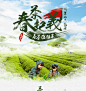 2017台湾阿里山乌龙春茶- 京东众筹