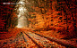 秋天铁路摄影图片 - 高清摄影图片 - 素材风暴