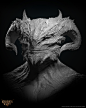 Dragonborn Male Head 2 - Baldur's Gate 3 