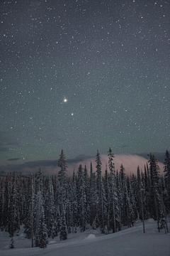 讨厌吃雪梨采集到星空