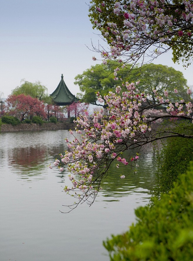 花开红树乱莺啼，
草长平湖白鹭飞