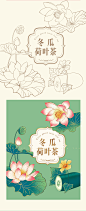养生花茶插画设计