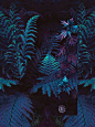 Umm, so pretty.: 