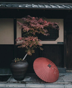 設計獅胖尾鱼采集到园林景观-中式/新中式/古典/园林造景