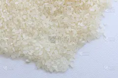 日本珍珠米的特写