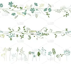 无休止的花纹笔刷由一种不同的植物。中药对浪漫的设计、 装饰、 贺卡、 海报、 喜帖、 广告。在白色的