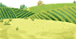 手绘丰收插画