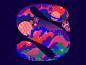 S’s for Space 