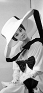 Audrey Hepburn  #奥黛丽赫本# #赫本美人#