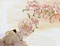【kaisea-sha的绘本：玫瑰花开】
