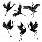 鹤鸟或苍鹭飞行和站集的剪影或阴影黑色墨水图标。 溢价矢量