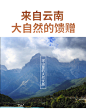 正宗云南昭通天麻小草坝无硫切天麻片100g克包邮可打磨天麻粉干货-淘宝网