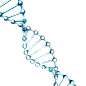 基因 DNA