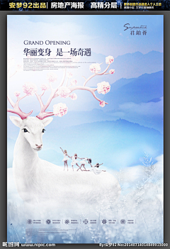 董董董了不起采集到单页