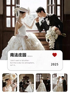 小杨不在!采集到封面