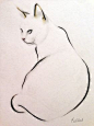 Saatchi Online Artist Kellas Campbell; Drawing, "Cat Study - Sitting" #art