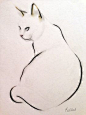 Kellas Campbell ~ Cat Study: Sitting, 2013: 