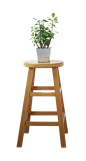 植物素材