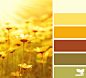 Design Seeds® | find your palette