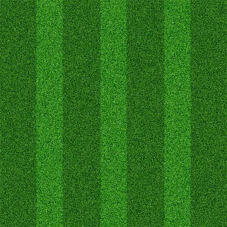Grass Texture: 