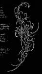 This contains an image of: 