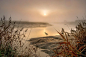 Heron, Egret, Landscape, Feathers