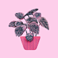 Plants VS Planters —— 美国插画师Alberto Cerriteño作品欣赏