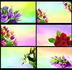 唯美鲜花花卉背景名片卡片设计PSD素材,鲜花名片,花店名片,花纹名片,花名片,美容名片,花店名片设计,花纹,花纹背景,鲜花背景,鲜花图片,鲜花底纹,绚彩,绚彩名片,梦@北坤人素材