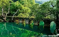 贵州省这5个5A级风景区，你走过几个？ : 　　安顺市黄果树大瀑布景区 　　为黄果树瀑布群中规模最大的一级瀑布，是世界著名大瀑布之一。以水势浩大著称。 　　 　　瀑布高度为77.8米，其中主瀑高67米；瀑布宽101米，其中主瀑顶宽83.3米。黄果树瀑布属喀斯特