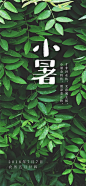 夏季海报