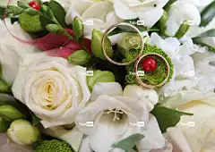 婚礼 戒指 金子 花壁纸 美丽的花朵 新娘的捧花 花朵 花卉背景