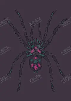 蜘蛛 【酷图网】昆虫手绘风格,昆虫,蜘蛛,钻石,设计,