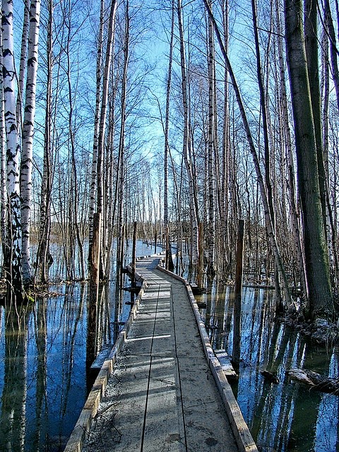 冬季路径，赫尔辛基，芬兰
Winter ...