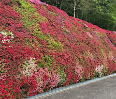 花绽采集到D-道路边坡护坡、盘山道