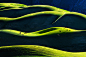 二级收藏作品-草原之歌-余树球.jpg