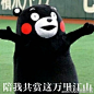 太子妃真的太火了，火到这货都能做里面的表情包了！