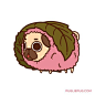 Pink Leaf Pugchi?(Thank you everyone who attended the stream!)