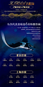 马尔代夫高端旅行特价海报
